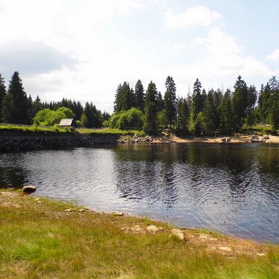Im Sommer wird der Oderteich zu einem sehr beliebten Badegewässer.